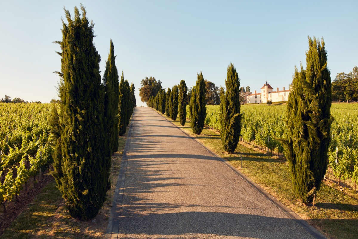 Article Sud-Ouest – Un nouveau départ pour le Château Toulouse-Lautrec