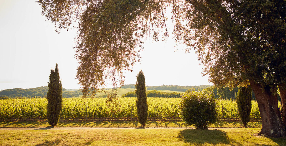 Article Bouger à Bordeaux – Destination week-end au Château Toulouse-Lautrec, à moins d’une heure de Bordeaux